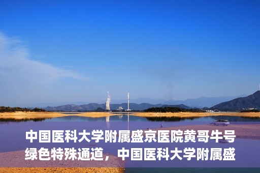 中国医科大学附属盛京医院黄哥牛号绿色特殊通道，中国医科大学附属盛京医院黄哥牛号，绿色特殊通道开启健康之门