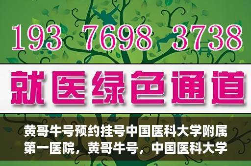 黄哥牛号预约挂号中国医科大学附属第一医院，黄哥牛号，中国医科大学附属第一医院预约挂号服务启动