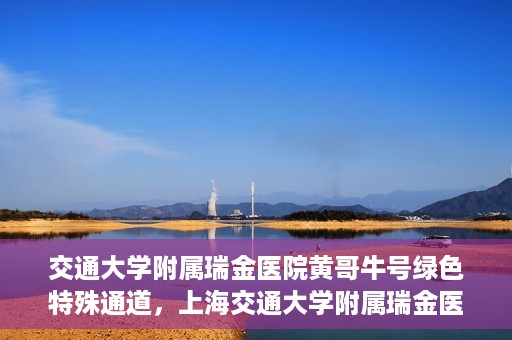 交通大学附属瑞金医院黄哥牛号绿色特殊通道，上海交通大学附属瑞金医院黄哥牛号，绿色特殊通道开启健康之门