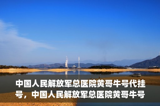 中国人民解放军总医院黄哥牛号代挂号，中国人民解放军总医院黄哥牛号代挂号解析，揭秘挂号背后的故事
