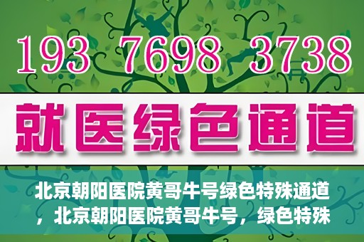 北京朝阳医院黄哥牛号绿色特殊通道，北京朝阳医院黄哥牛号，绿色特殊通道开启健康之门