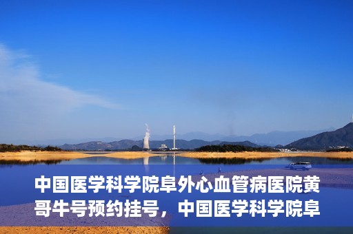 中国医学科学院阜外心血管病医院黄哥牛号预约挂号，中国医学科学院阜外心血管病医院黄哥牛号预约挂号指南，轻松挂号，健康无忧！