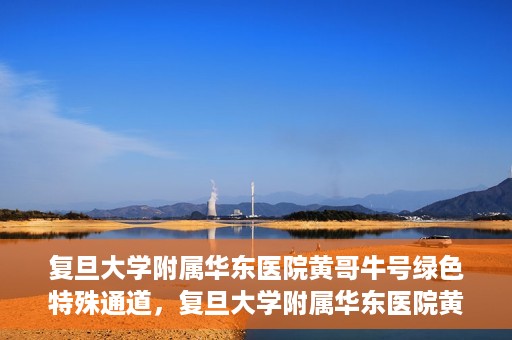 复旦大学附属华东医院黄哥牛号绿色特殊通道，复旦大学附属华东医院黄哥牛号，绿色特殊通道开启健康之门