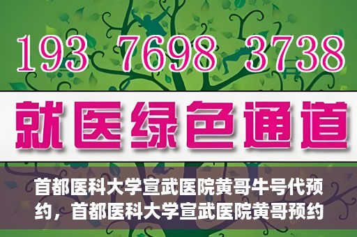 首都医科大学宣武医院黄哥牛号代预约，首都医科大学宣武医院黄哥预约代挂号服务解析