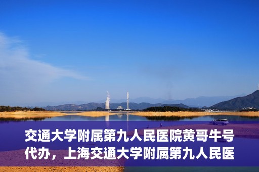 交通大学附属第九人民医院黄哥牛号代办，上海交通大学附属第九人民医院黄哥牛号预约代办服务解析