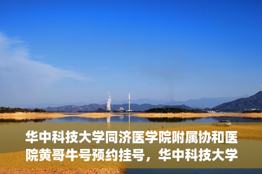 华中科技大学同济医学院附属协和医院黄哥牛号预约挂号，华中科技大学同济医学院附属协和医院黄哥牛号预约挂号攻略解析