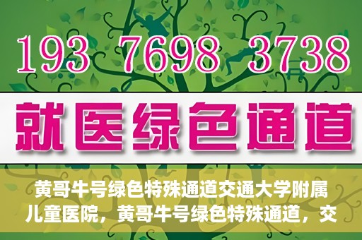 黄哥牛号绿色特殊通道交通大学附属儿童医院，黄哥牛号绿色特殊通道，交通大学附属儿童医院的探索与实践