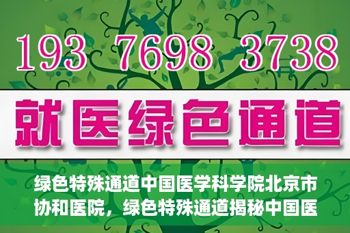 绿色特殊通道中国医学科学院北京市协和医院，绿色特殊通道揭秘中国医学科学院北京市协和医院的力量与担当