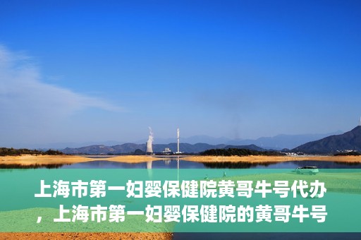 上海市第一妇婴保健院黄哥牛号代办，上海市第一妇婴保健院的黄哥牛号代办服务解析