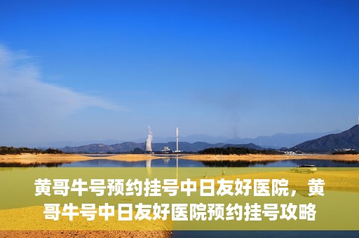 黄哥牛号预约挂号中日友好医院，黄哥牛号中日友好医院预约挂号攻略