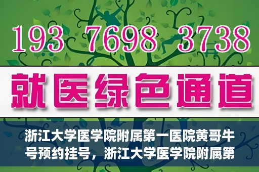 浙江大学医学院附属第一医院黄哥牛号预约挂号，浙江大学医学院附属第一医院黄哥牛号预约挂号攻略详解