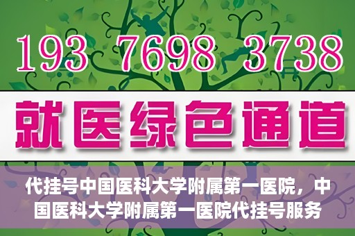 代挂号中国医科大学附属第一医院，中国医科大学附属第一医院代挂号服务详解