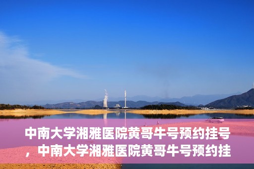 中南大学湘雅医院黄哥牛号预约挂号，中南大学湘雅医院黄哥牛号预约挂号攻略，轻松挂号，无忧就医体验