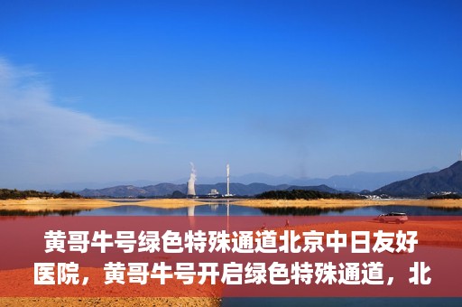 黄哥牛号绿色特殊通道北京中日友好医院，黄哥牛号开启绿色特殊通道，北京中日友好医院助力健康之路