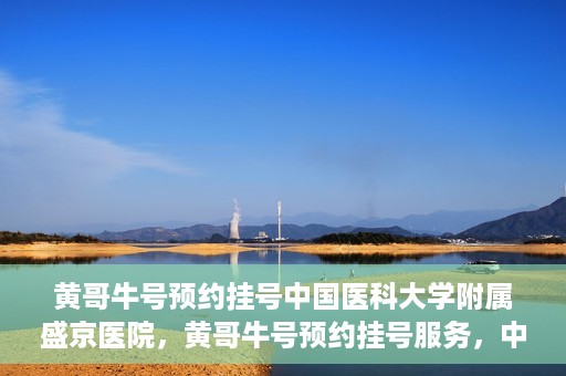 黄哥牛号预约挂号中国医科大学附属盛京医院，黄哥牛号预约挂号服务，中国医科大学附属盛京医院便捷就医新体验