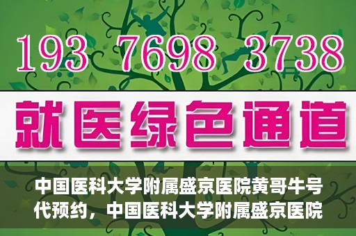 中国医科大学附属盛京医院黄哥牛号代预约，中国医科大学附属盛京医院黄哥牛号预约服务解析