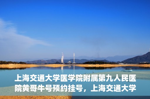 上海交通大学医学院附属第九人民医院黄哥牛号预约挂号，上海交通大学医学院附属第九人民医院黄哥牛号预约挂号攻略解析