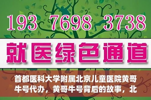 首都医科大学附属北京儿童医院黄哥牛号代办，黄哥牛号背后的故事，北京儿童医院名医背后的故事与探索。
