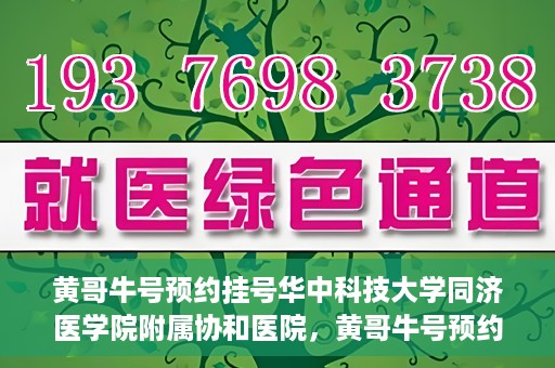 黄哥牛号预约挂号华中科技大学同济医学院附属协和医院，黄哥牛号预约挂号，华中科技大学同济医学院附属协和医院就医新体验