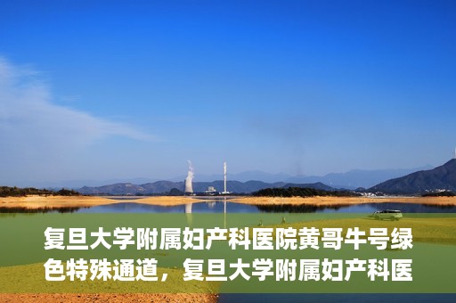 复旦大学附属妇产科医院黄哥牛号绿色特殊通道，复旦大学附属妇产科医院黄哥牛号，绿色特殊通道开启健康之门
