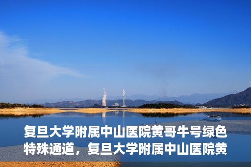 复旦大学附属中山医院黄哥牛号绿色特殊通道，复旦大学附属中山医院黄哥牛号，绿色特殊通道开启健康之门
