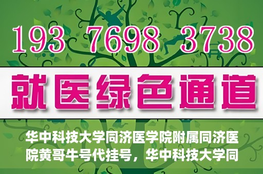 华中科技大学同济医学院附属同济医院黄哥牛号代挂号，华中科技大学同济医院黄哥牛号代挂号背后的故事