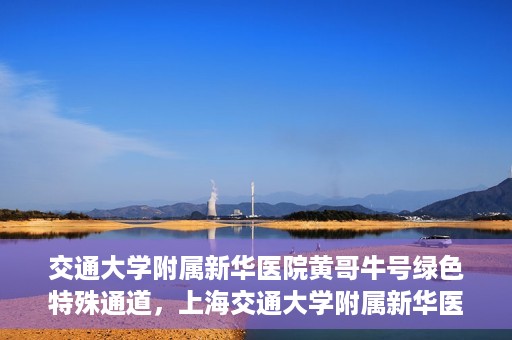 交通大学附属新华医院黄哥牛号绿色特殊通道，上海交通大学附属新华医院黄哥牛号绿色就医特殊通道解析