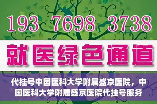 代挂号中国医科大学附属盛京医院，中国医科大学附属盛京医院代挂号服务详解