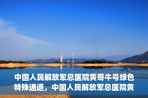 中国人民解放军总医院黄哥牛号绿色特殊通道，中国人民解放军总医院黄哥牛号，绿色特殊通道开启健康之门