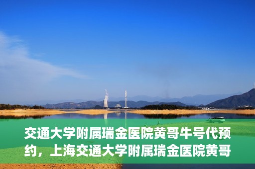 交通大学附属瑞金医院黄哥牛号代预约，上海交通大学附属瑞金医院黄哥牛号预约服务解析
