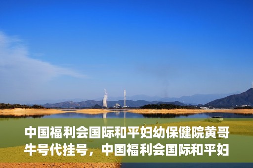 中国福利会国际和平妇幼保健院黄哥牛号代挂号，中国福利会国际和平妇幼保健院黄哥牛号挂号攻略