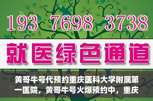 黄哥牛号代预约重庆医科大学附属第一医院，黄哥牛号火爆预约中，重庆医科大学附属第一医院开启预约新纪元