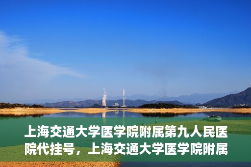 上海交通大学医学院附属第九人民医院代挂号，上海交通大学医学院附属第九人民医院代挂号服务详解