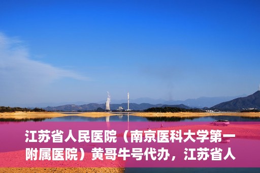江苏省人民医院（南京医科大学第一附属医院）黄哥牛号代办，江苏省人民医院（南京医科大学第一附属医院）黄哥牛号业务代办攻略