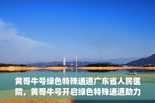 黄哥牛号绿色特殊通道广东省人民医院，黄哥牛号开启绿色特殊通道助力广东省人民医院服务升级