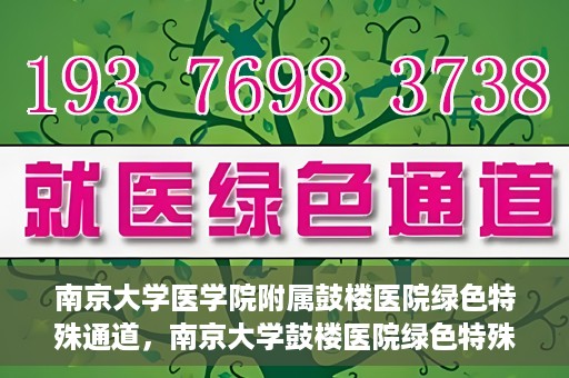 南京大学医学院附属鼓楼医院绿色特殊通道，南京大学鼓楼医院绿色特殊通道，健康守护的新路径