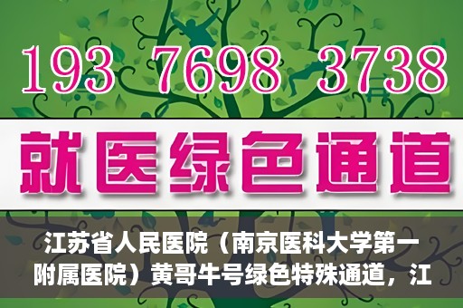 江苏省人民医院（南京医科大学第一附属医院）黄哥牛号绿色特殊通道，江苏省人民医院绿色特殊通道，黄哥牛号的医疗速度与温情服务