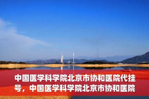 中国医学科学院北京市协和医院代挂号，中国医学科学院北京市协和医院代挂号服务详解