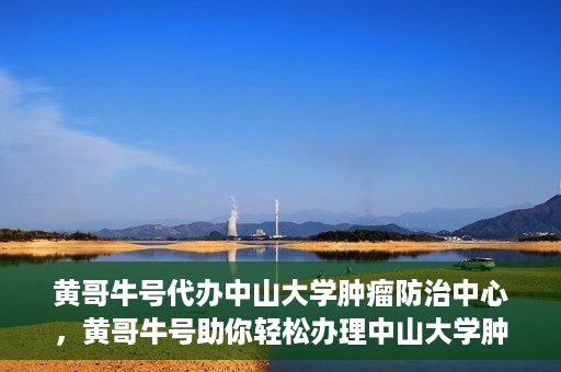 黄哥牛号代办中山大学肿瘤防治中心，黄哥牛号助你轻松办理中山大学肿瘤防治中心业务手续