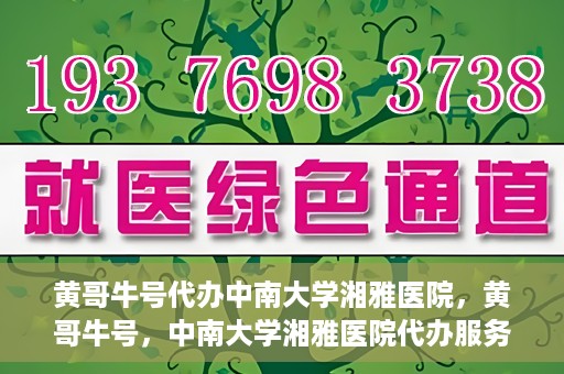 黄哥牛号代办中南大学湘雅医院，黄哥牛号，中南大学湘雅医院代办服务详解