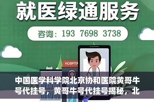 中国医学科学院北京协和医院黄哥牛号代挂号，黄哥牛号代挂号揭秘，北京协和医院挂号背后的故事