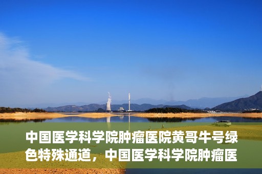 中国医学科学院肿瘤医院黄哥牛号绿色特殊通道，中国医学科学院肿瘤医院黄哥牛号，绿色特殊通道开启健康之门