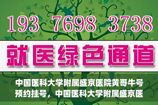 中国医科大学附属盛京医院黄哥牛号预约挂号，中国医科大学附属盛京医院黄哥牛号，预约挂号指南