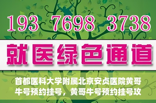 首都医科大学附属北京安贞医院黄哥牛号预约挂号，黄哥牛号预约挂号攻略，首都医科大学附属北京安贞医院就医指南
