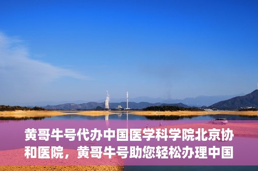 黄哥牛号代办中国医学科学院北京协和医院，黄哥牛号助您轻松办理中国医学科学院北京协和医院手续。