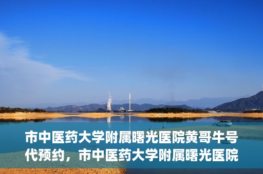 市中医药大学附属曙光医院黄哥牛号代预约，市中医药大学附属曙光医院黄哥牛号预约服务启动