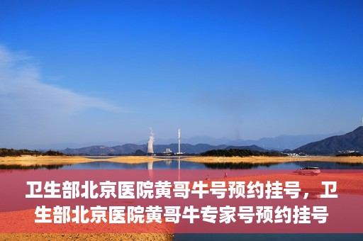 卫生部北京医院黄哥牛号预约挂号，卫生部北京医院黄哥牛专家号预约挂号攻略