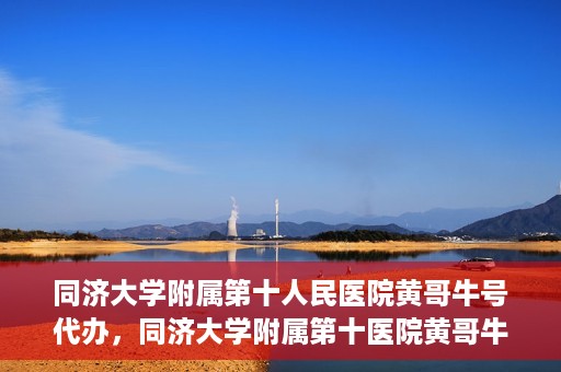 同济大学附属第十人民医院黄哥牛号代办，同济大学附属第十医院黄哥牛号预约代办服务解析