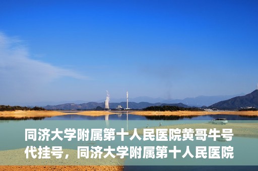 同济大学附属第十人民医院黄哥牛号代挂号，同济大学附属第十人民医院黄哥牛号助您轻松挂号就医
