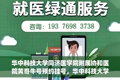 华中科技大学同济医学院附属协和医院黄哥牛号预约挂号，华中科技大学同济医学院附属协和医院黄哥牛号预约挂号攻略解析